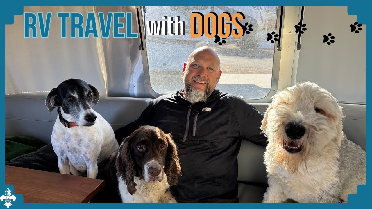 Full-Time RV Travel with Dogs: Here's What we Learned