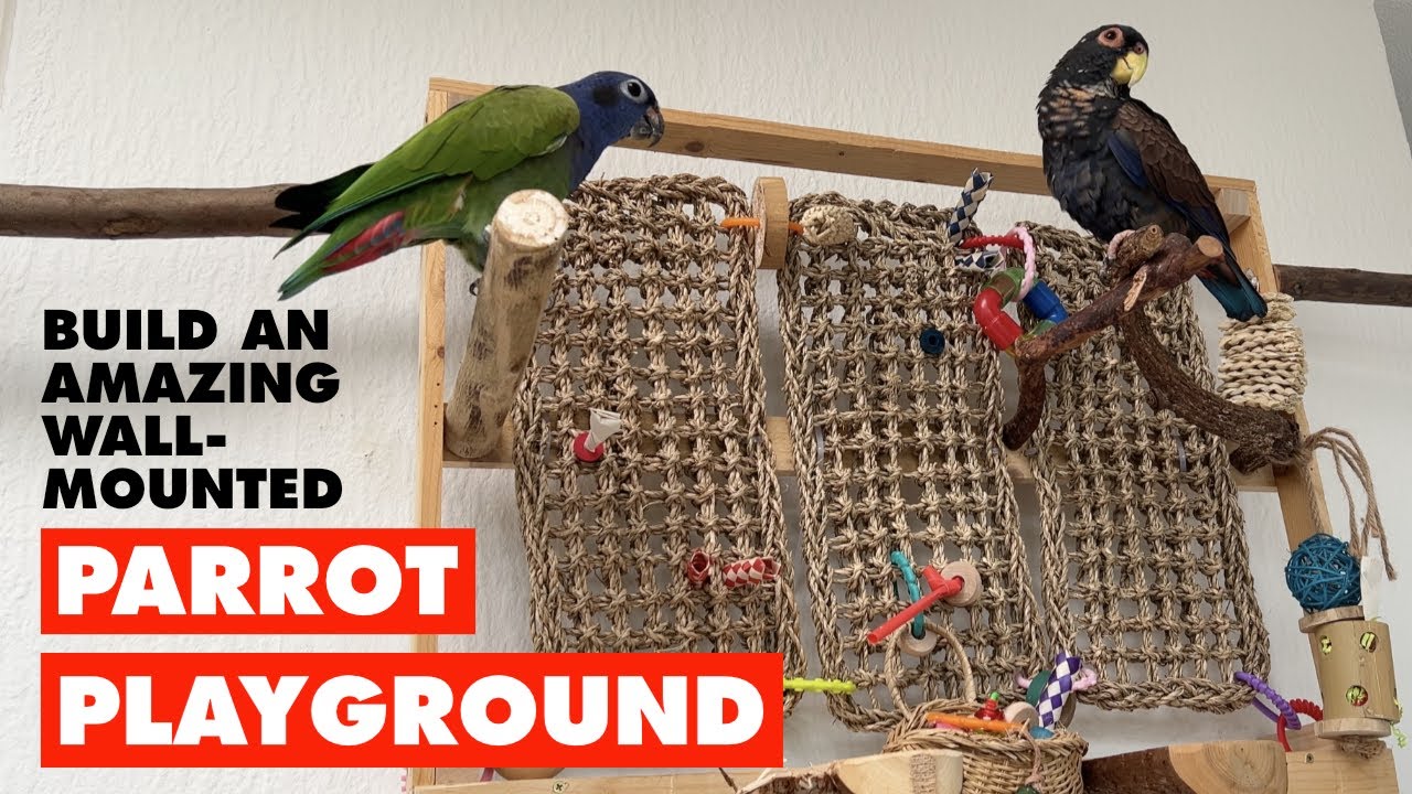 How to Build a Cheap and Amazing Parrot Playground