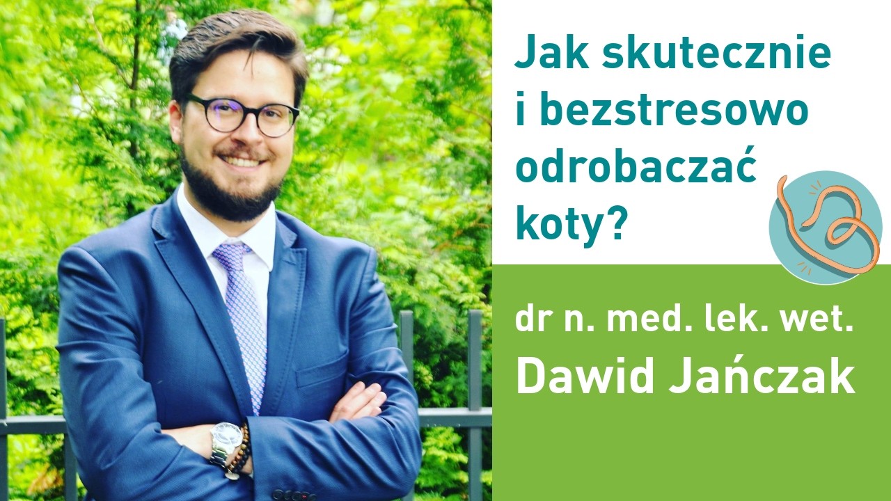 Jak skutecznie i bezstresowo odrobaczać koty? Nagranie webinaru dr. Dawidem Jańczakiem