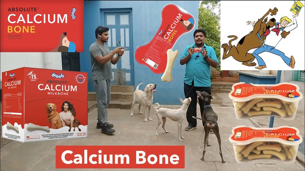 Calcium Bone For Puppies & Dogs || Drools || Healthy Supplements ||