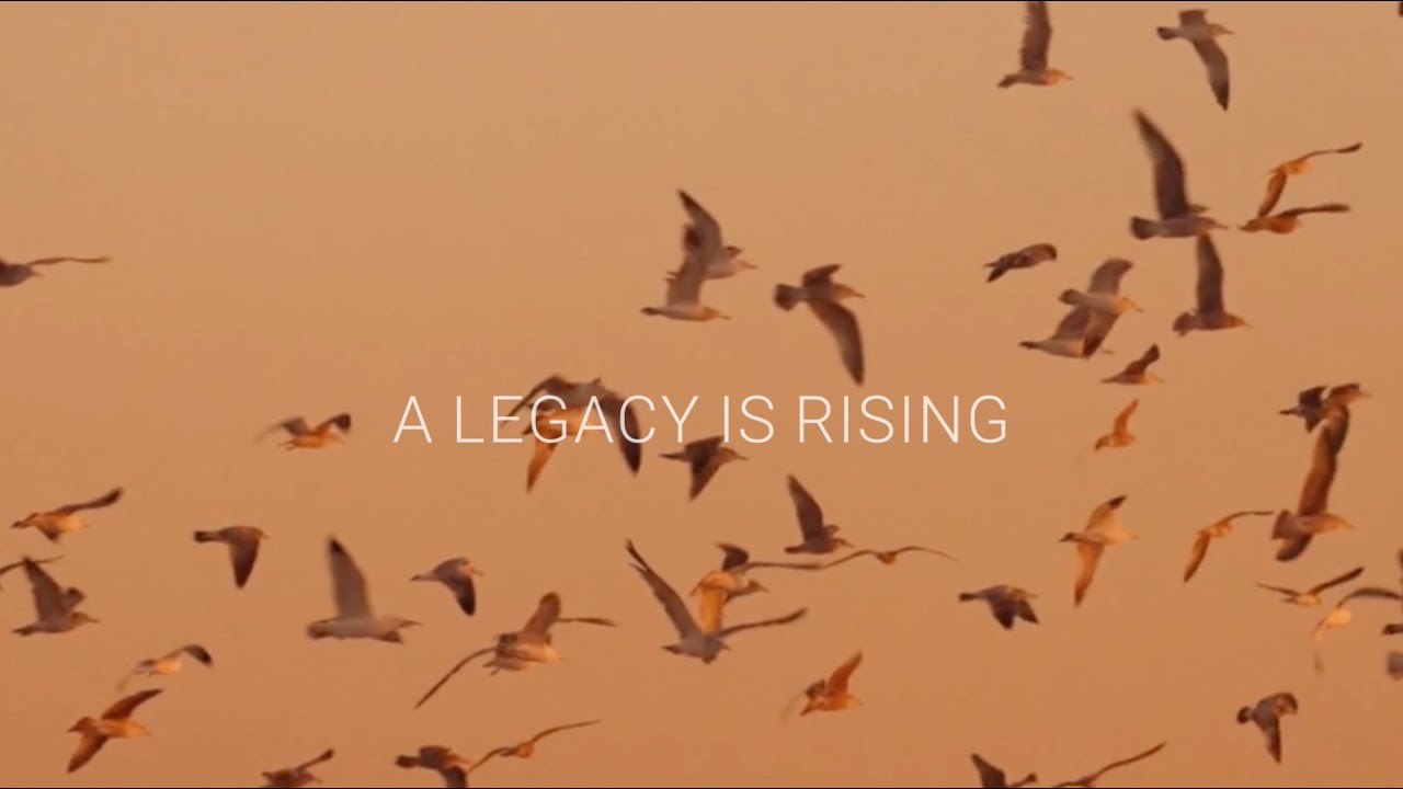 Rooted in history. Inspired by tomorrow.