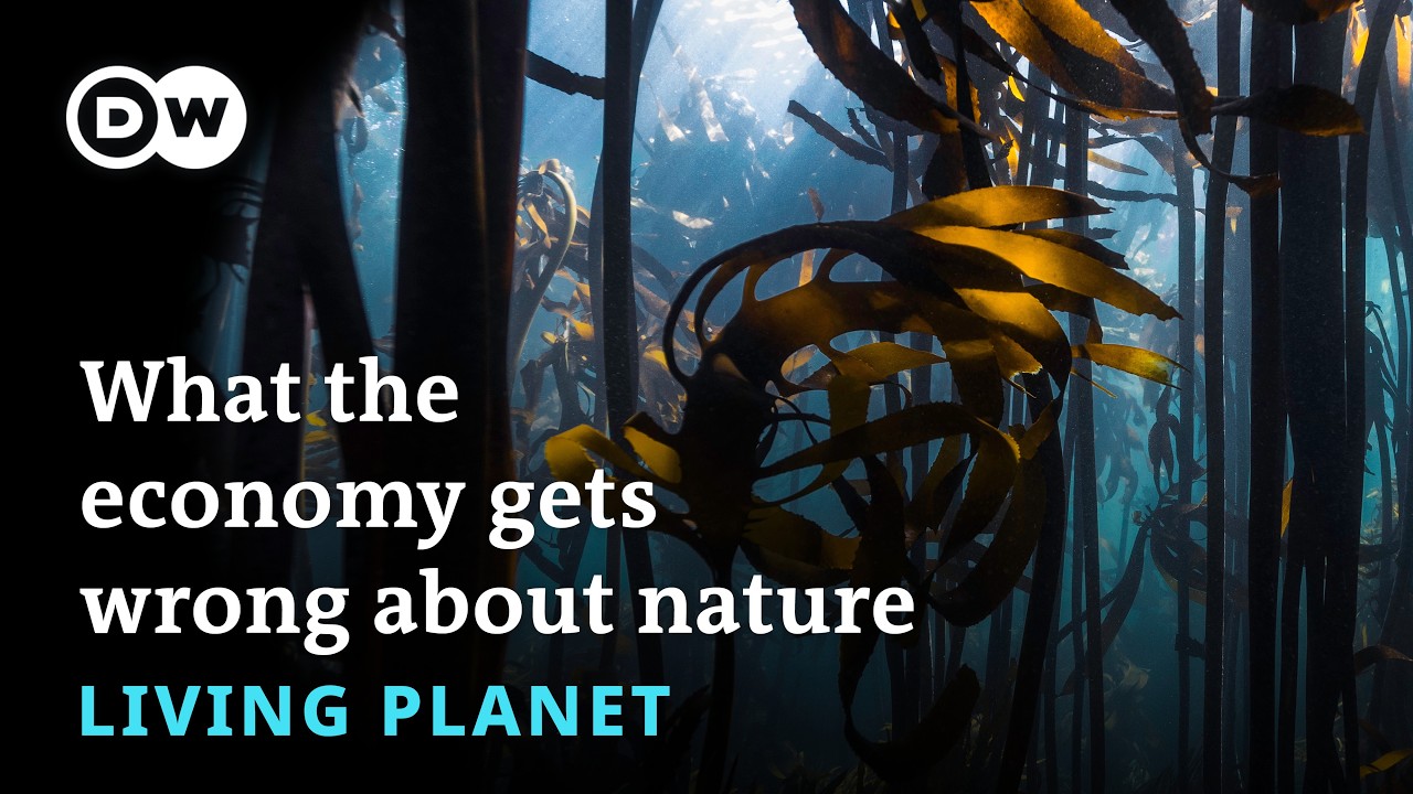 Podcast: What the economy gets wrong about nature