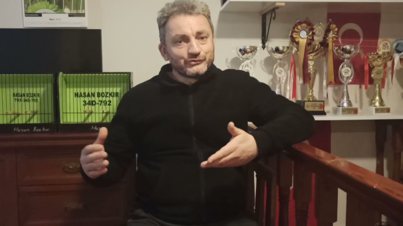 Kanaryalarda İlaç Kullanımı ve Kür Uygulaması