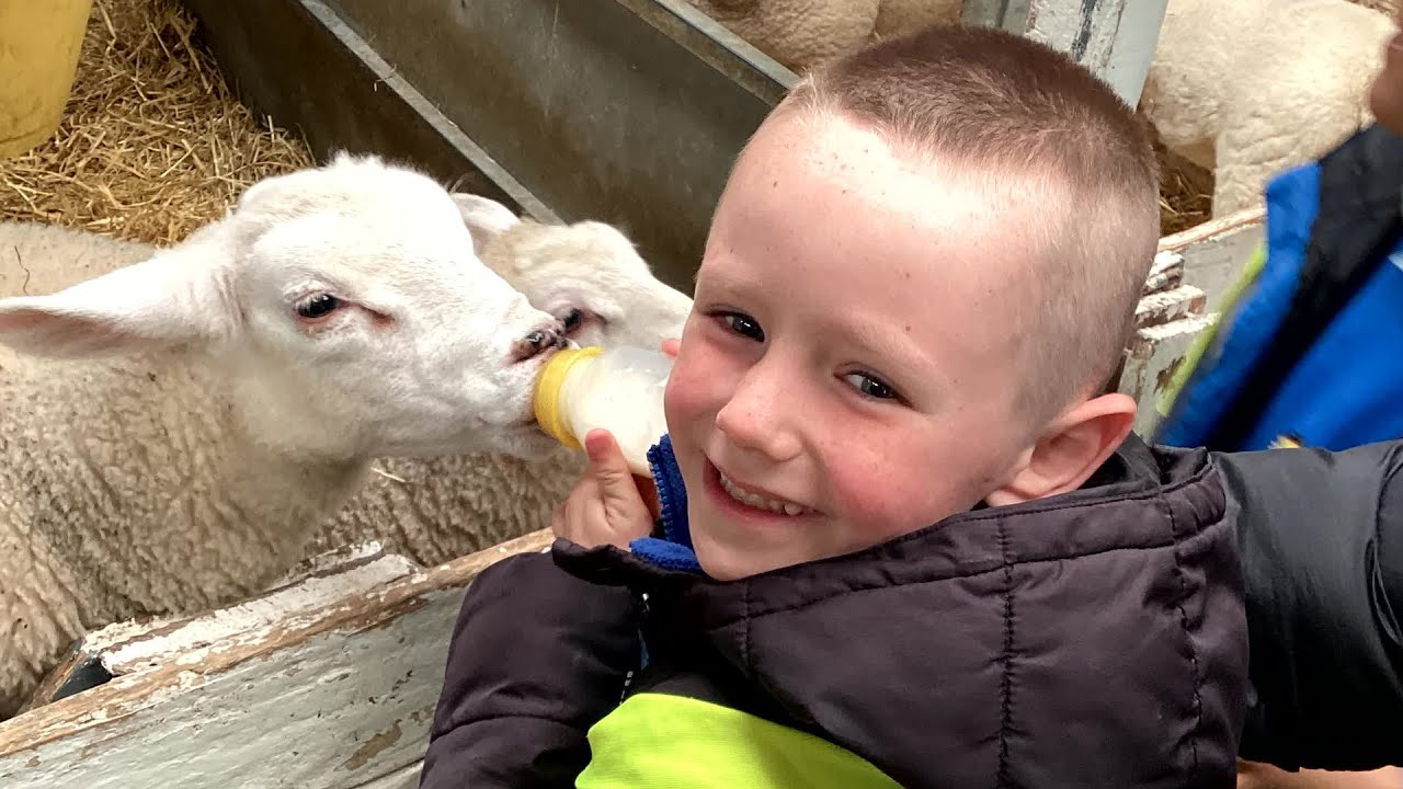 Year 1 at Swithens Farm