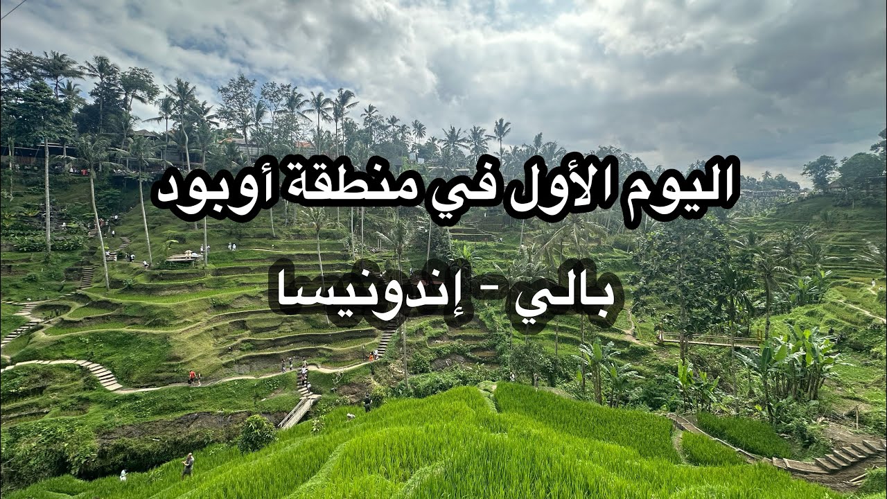الوصول إلى أوبود الجميلة – دبابات ومزارع أرز ما تنسى