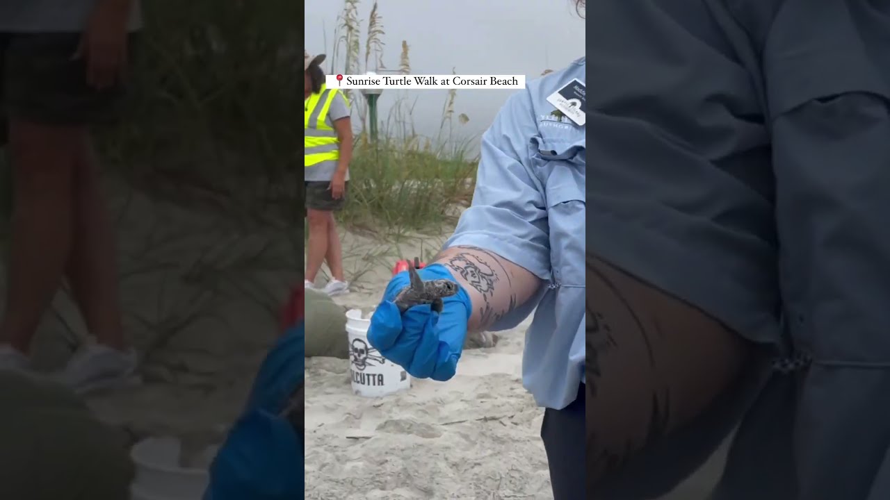 Jekyll Island Weekend Getaway! 