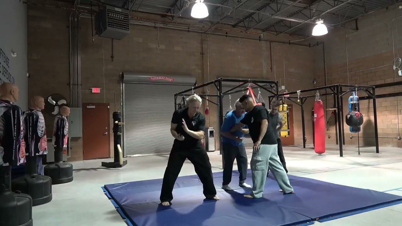 VFA  taking control after interecepting fist  add a knife to it