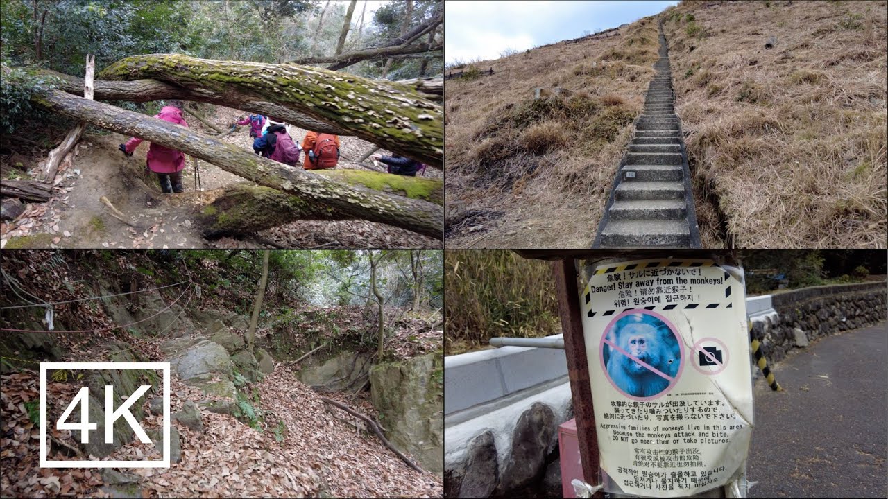 Discover the nature of Mountain Daimonji in a scenic Hiking Vlog, Uncut. Kyoto, Japan, 2023 02