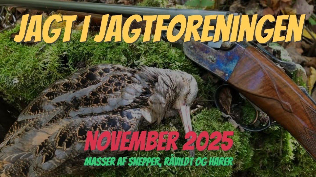 Jagt i Jagtforening November 2025