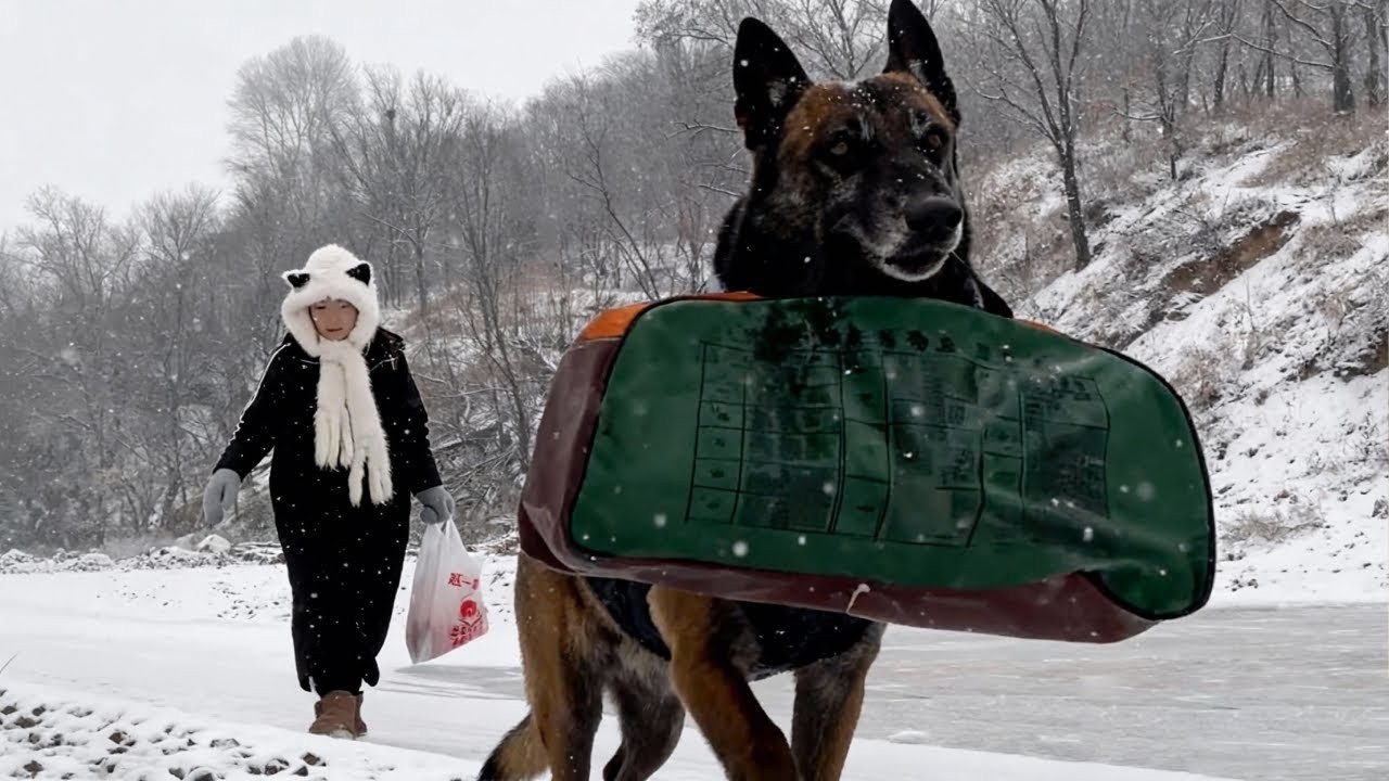 Winter is cold, and having a dog like this is so heartwarming!