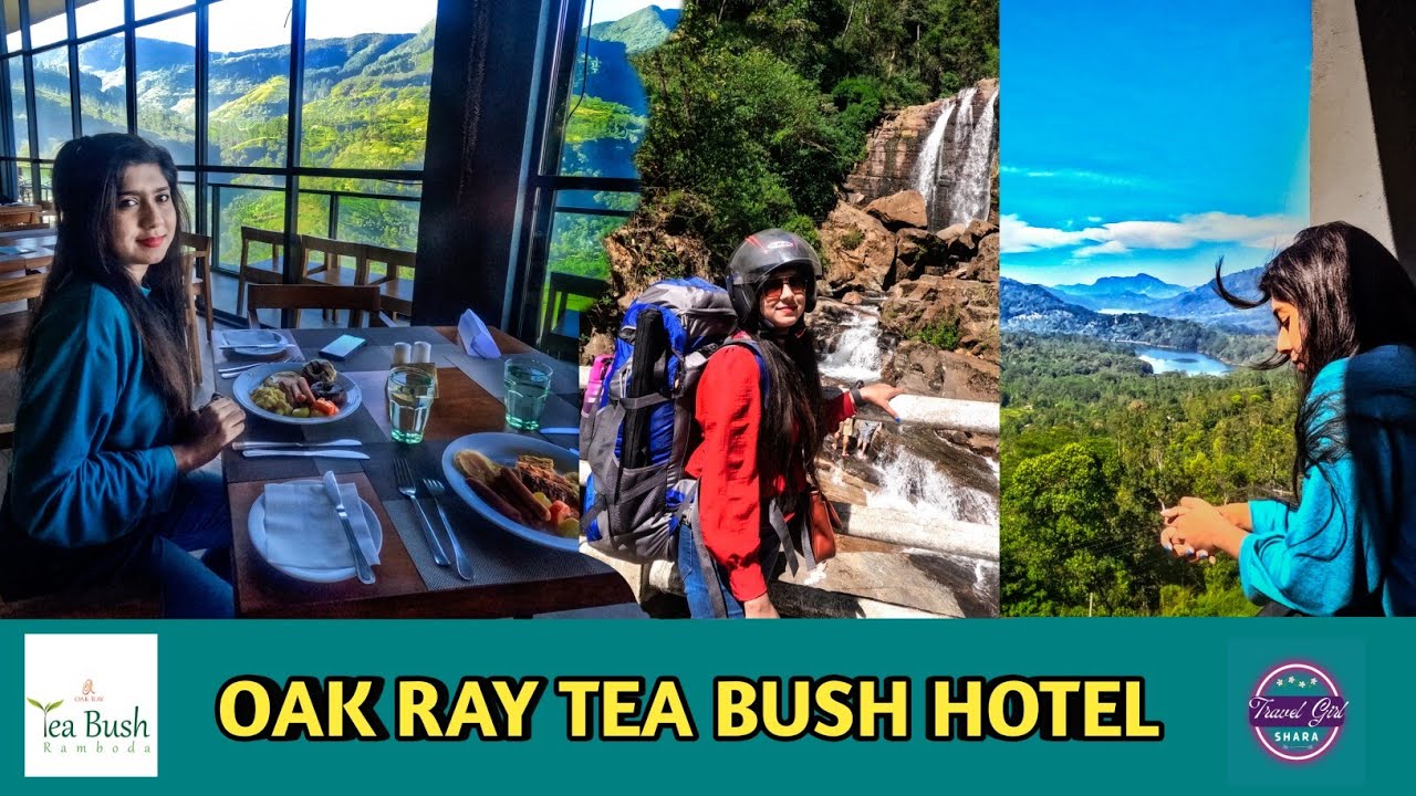 Oak Ray Tea Bush Hotel 🦋 | Hotel Review Vlog 01🌻 | Travel Girl Shara | Episode 14  #hotelreview