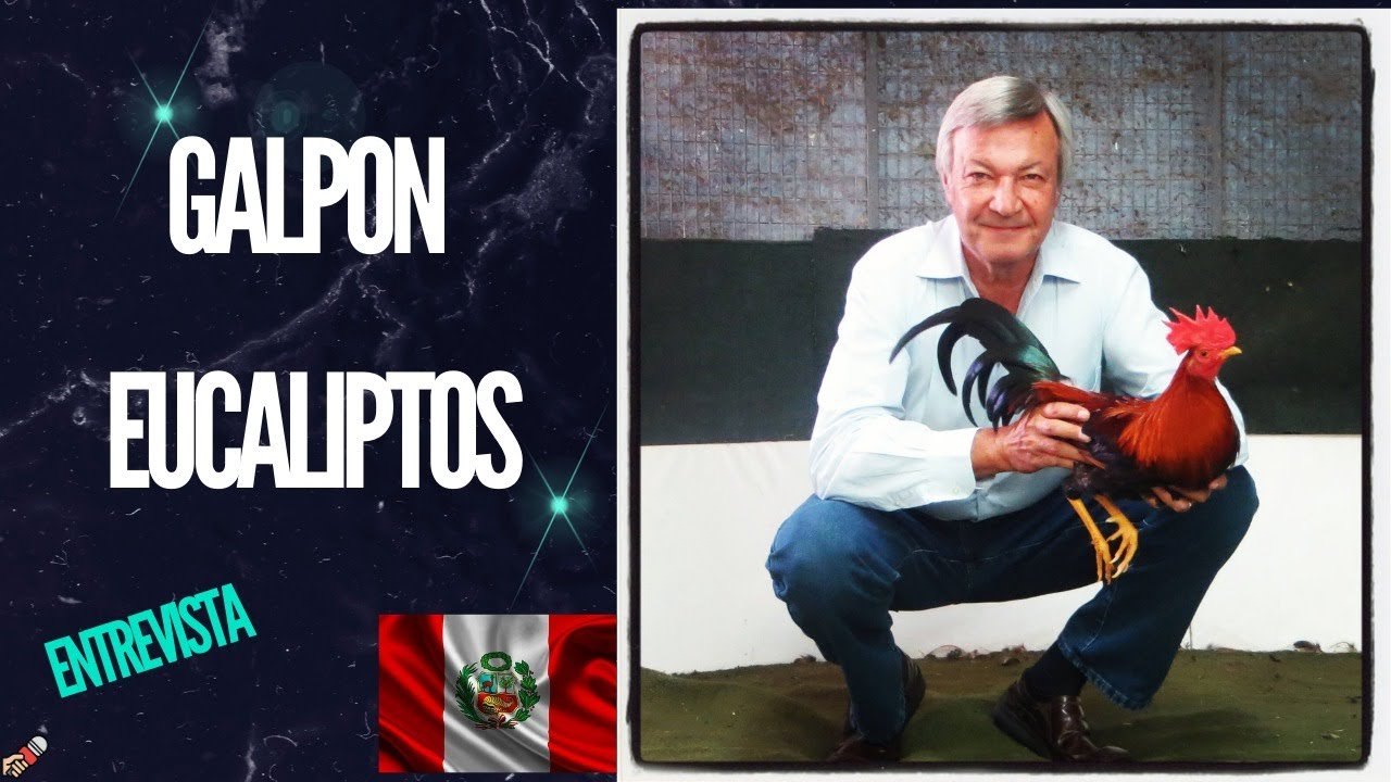 GALPON ECUALPITOS ENTREVISTA 2024