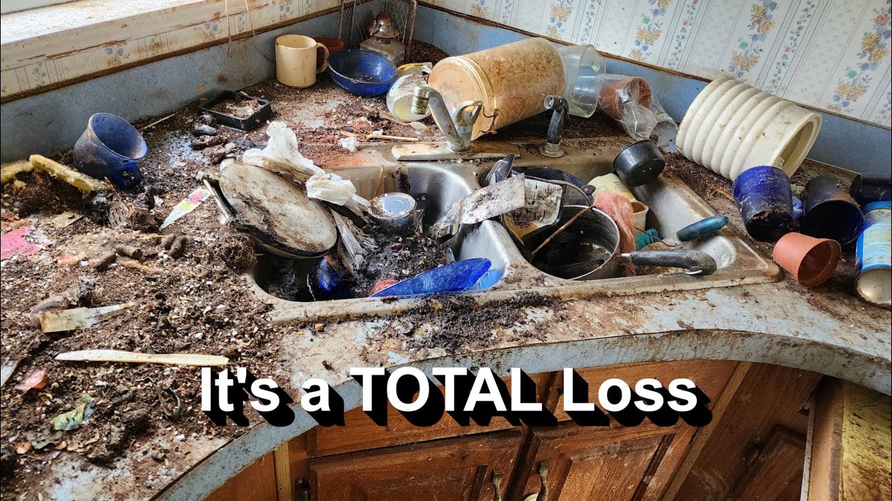 How Hoarding Disorder Can Completely DESTROY a Home