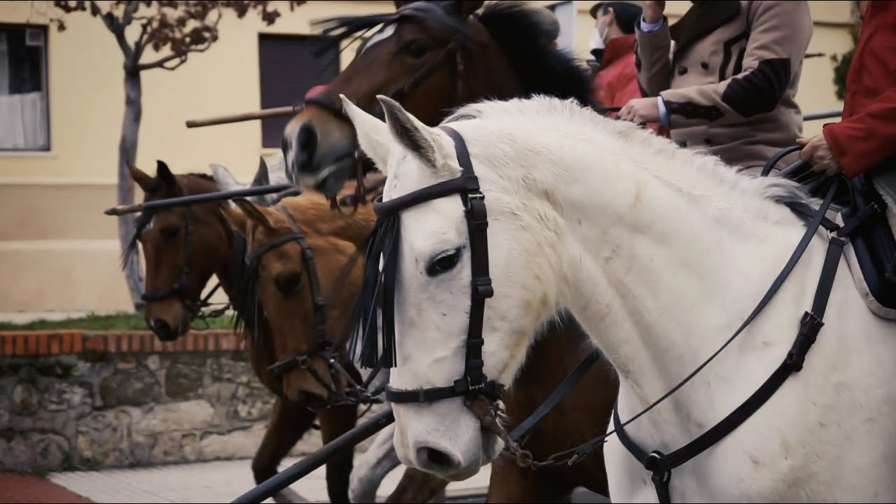 Toros Bravos Todo Sobre el Encierro a Caballo el Carnaval del Toro Ciudad Rodrigo