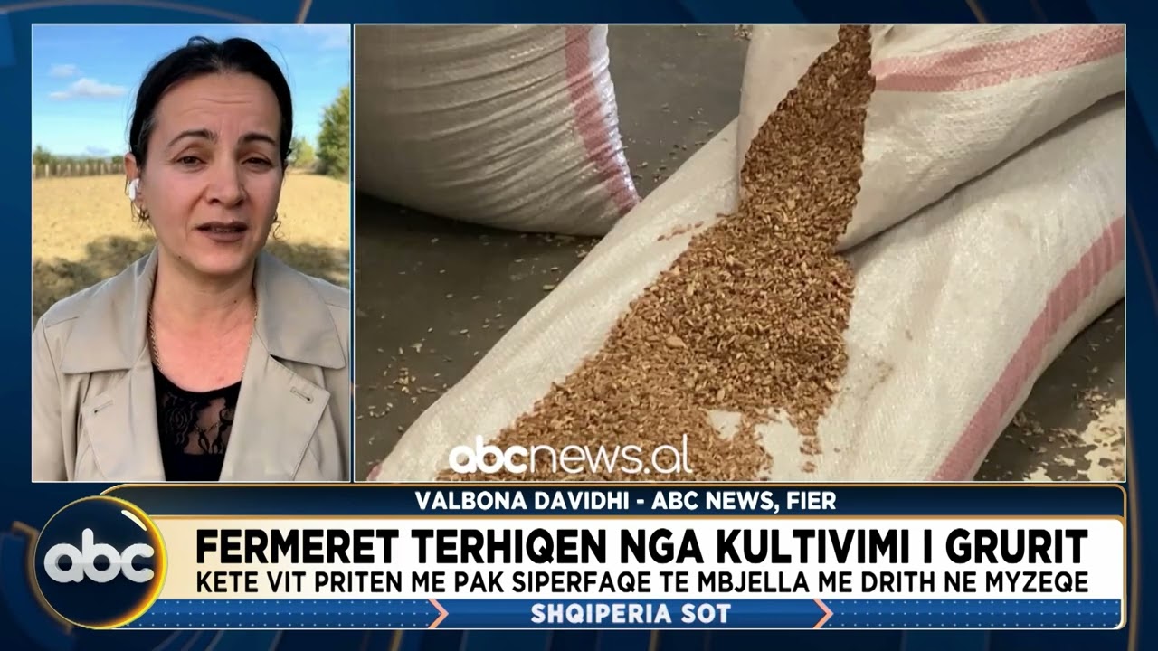 K&euml;t&euml; vit m&euml; pak t&euml; mbjella me drith&euml; n&euml; Myzeqe, fermer&euml;t t&euml;rhiqen nga kultivimi i grurit