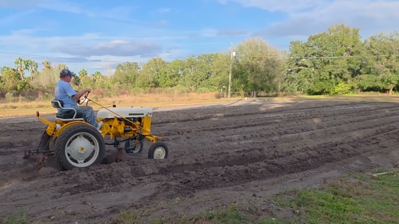 Plowing Rows with a 1974 International Cub Tractor