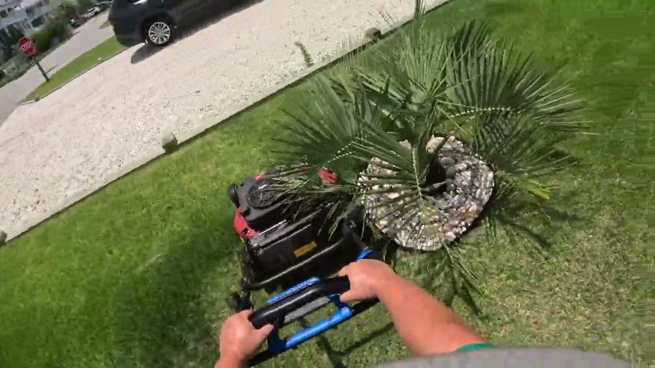 Push Mowing This Beautiful Vacation Home | LAWN MOWING POV | TORO PUSHMOWER