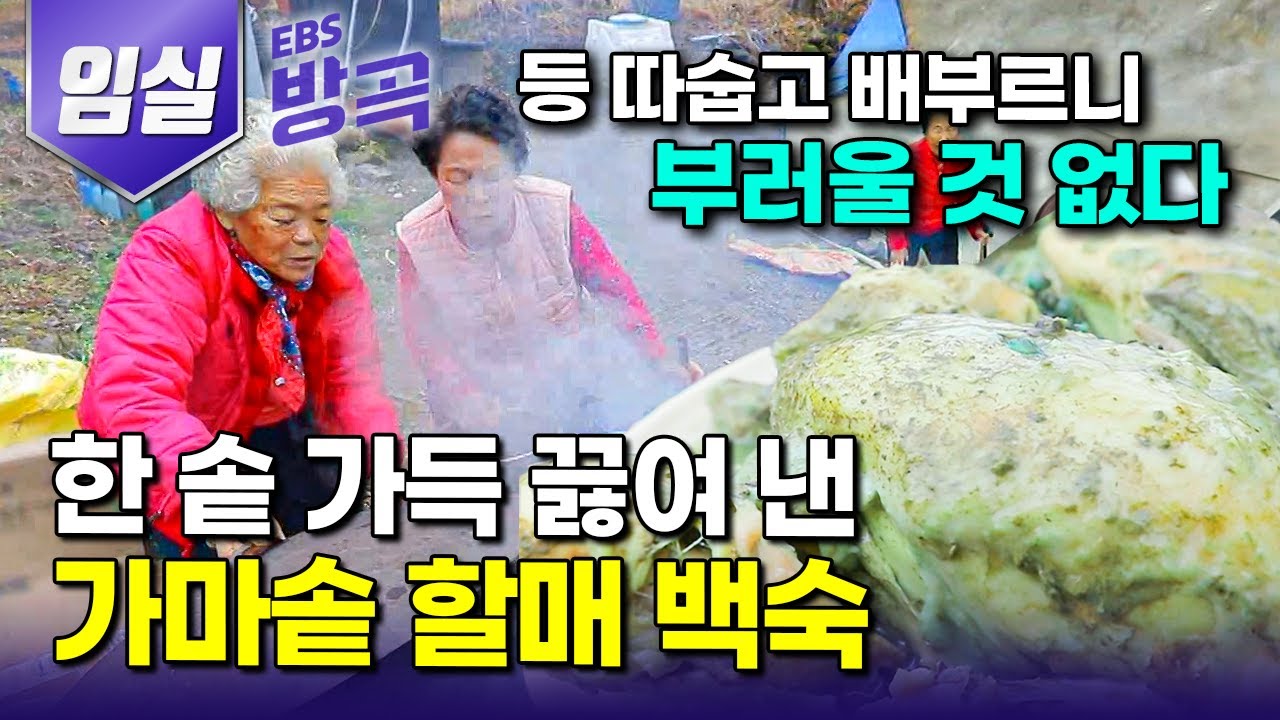 [전북 임실] 주민들 다 도시 나가고 빈집만 남은 섬진강 골짜기 작은 마을, 남편들 먼저 다 떠나고 홀로 남아 오손도손 집밥 나누는 다섯 할머니｜가마솥 삼계탕｜#한국기행 #방방곡곡