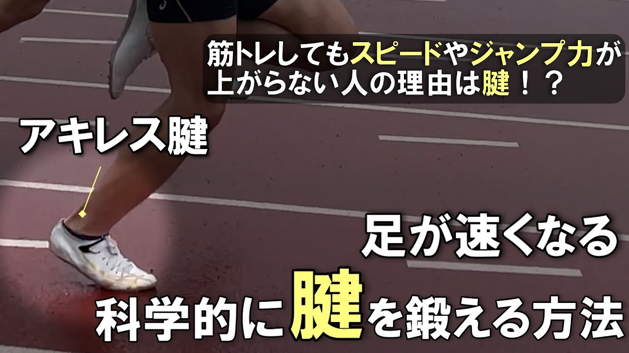 筋トレして足が遅くなったという人は見てください [足を速くする腱を鍛えるポイント5選]