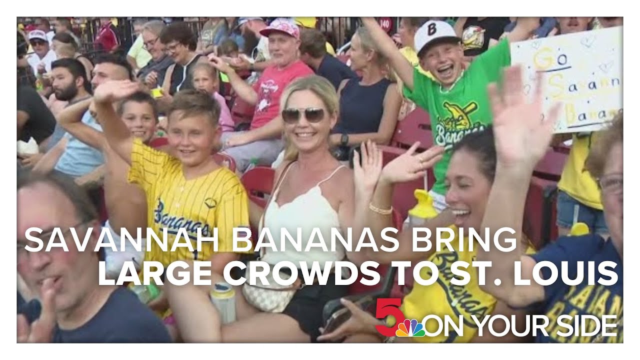 Savannah Bananas bring large crowds to Busch Stadium