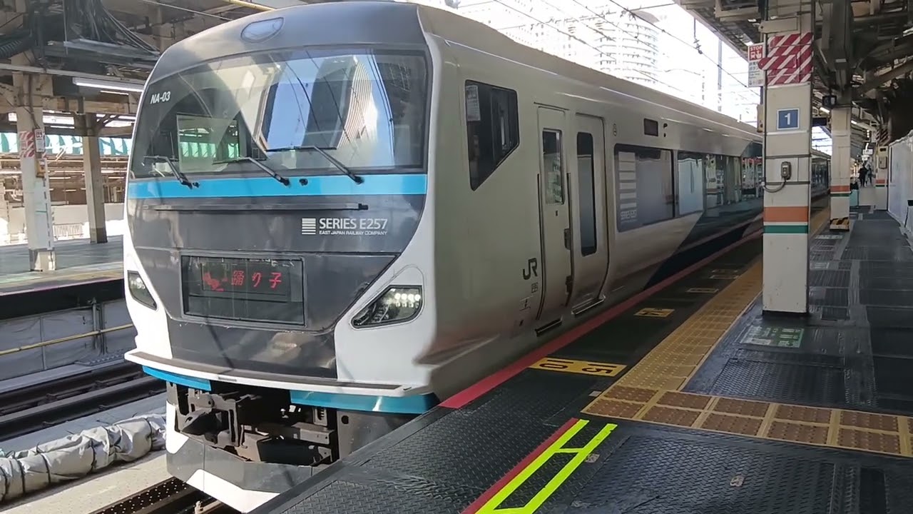 E257系2000番台NA-03(8061M)特急踊り子61号伊豆急下田行き東京駅9番線から発車