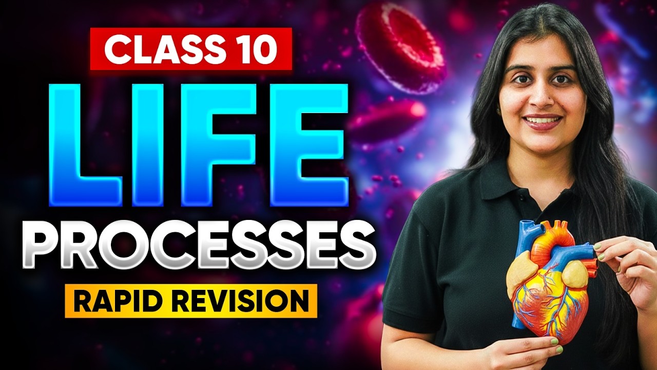 Life Processes in Just 19 Minutes🔥 | Class 10 Science Rapid Revision | One Shot Boards by Chelsy mam