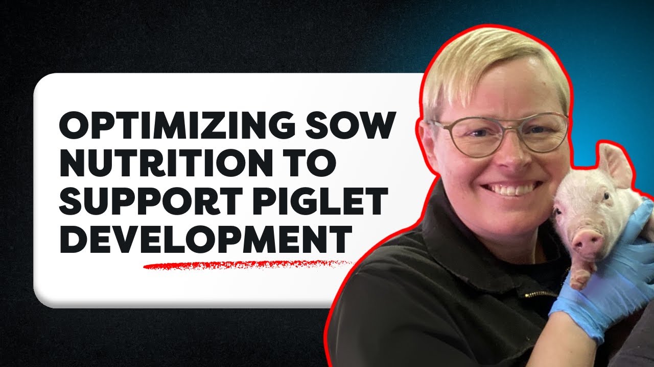 Improving Sow Nutrition for Better Piglet Outcomes - Dr. Anja Strathe
