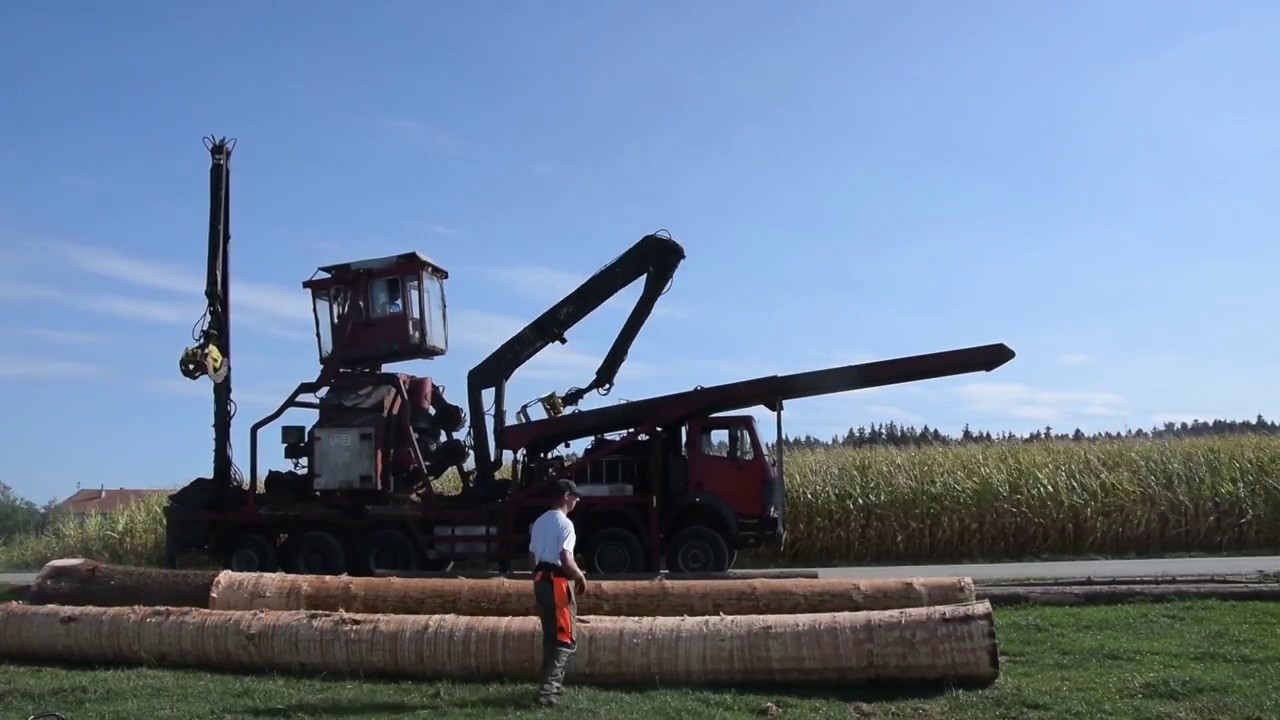 SPECIAL - Baumentrindung|Bayerns Landwirtschaft