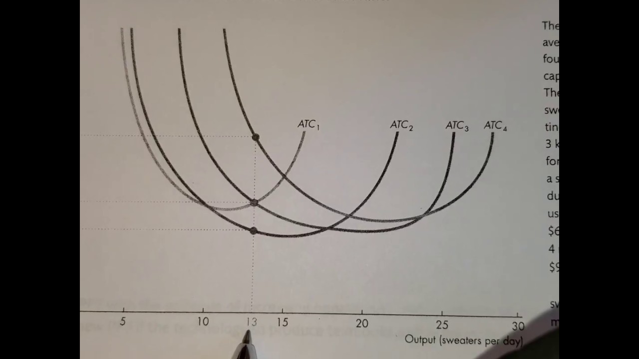 Chapter 11 - Plant size
