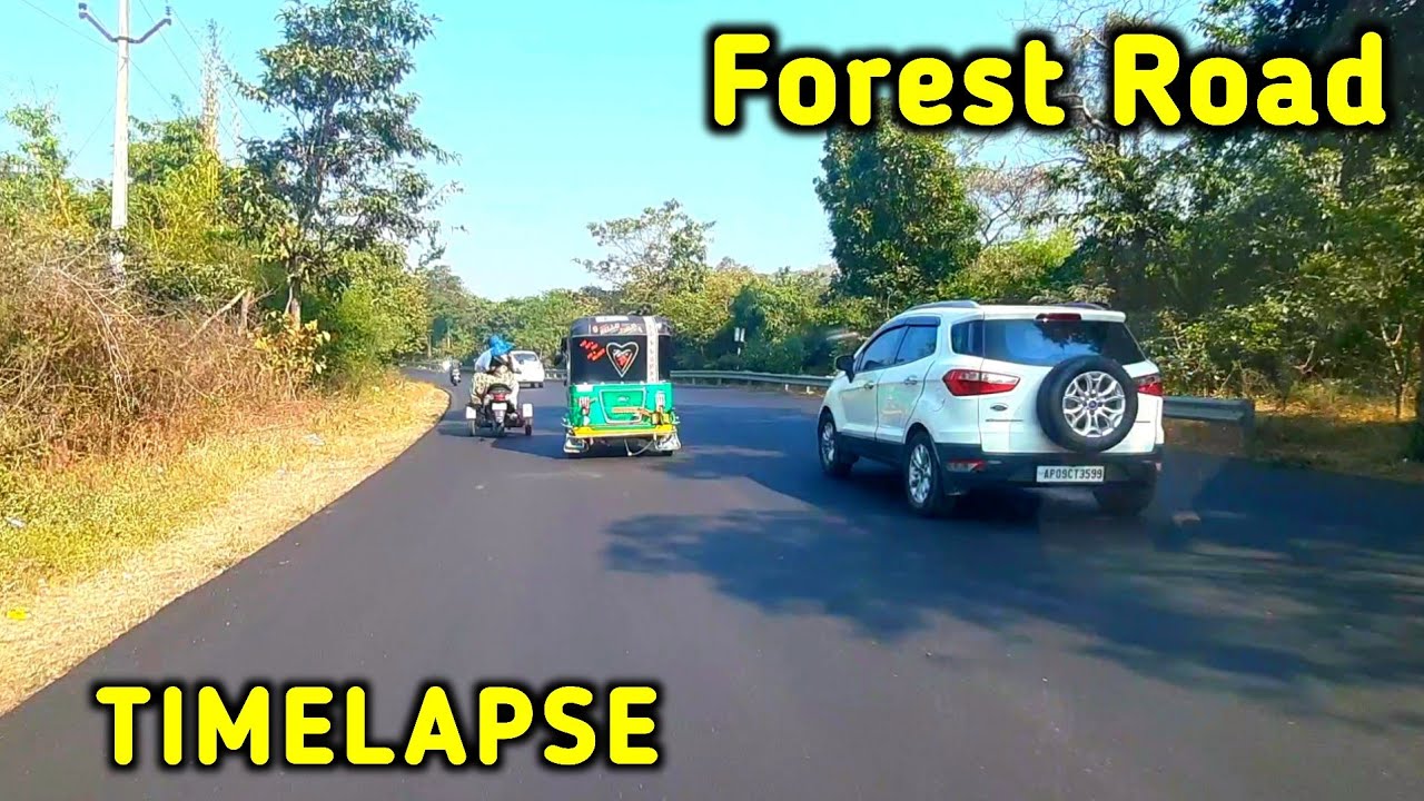 Timelapse Forest Road Drive 🌲 | Peaceful POV | India