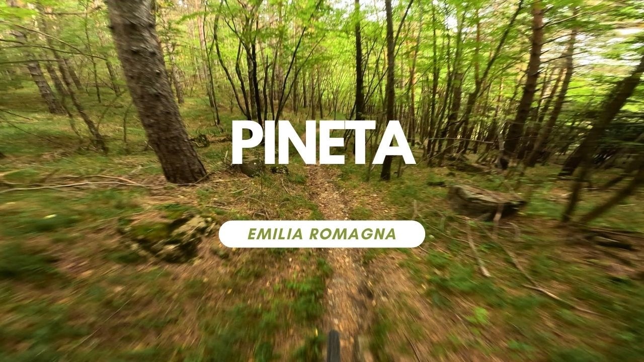 Pineta 🔵 Emilia Romagna Tuscany Italy 🇮🇹 Trail Review ganze Strecke Full Run POV RAW