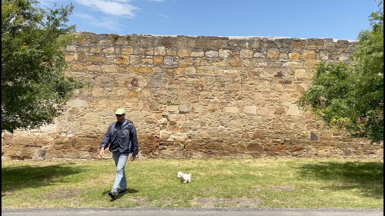 South Hobart Uncovered Part II