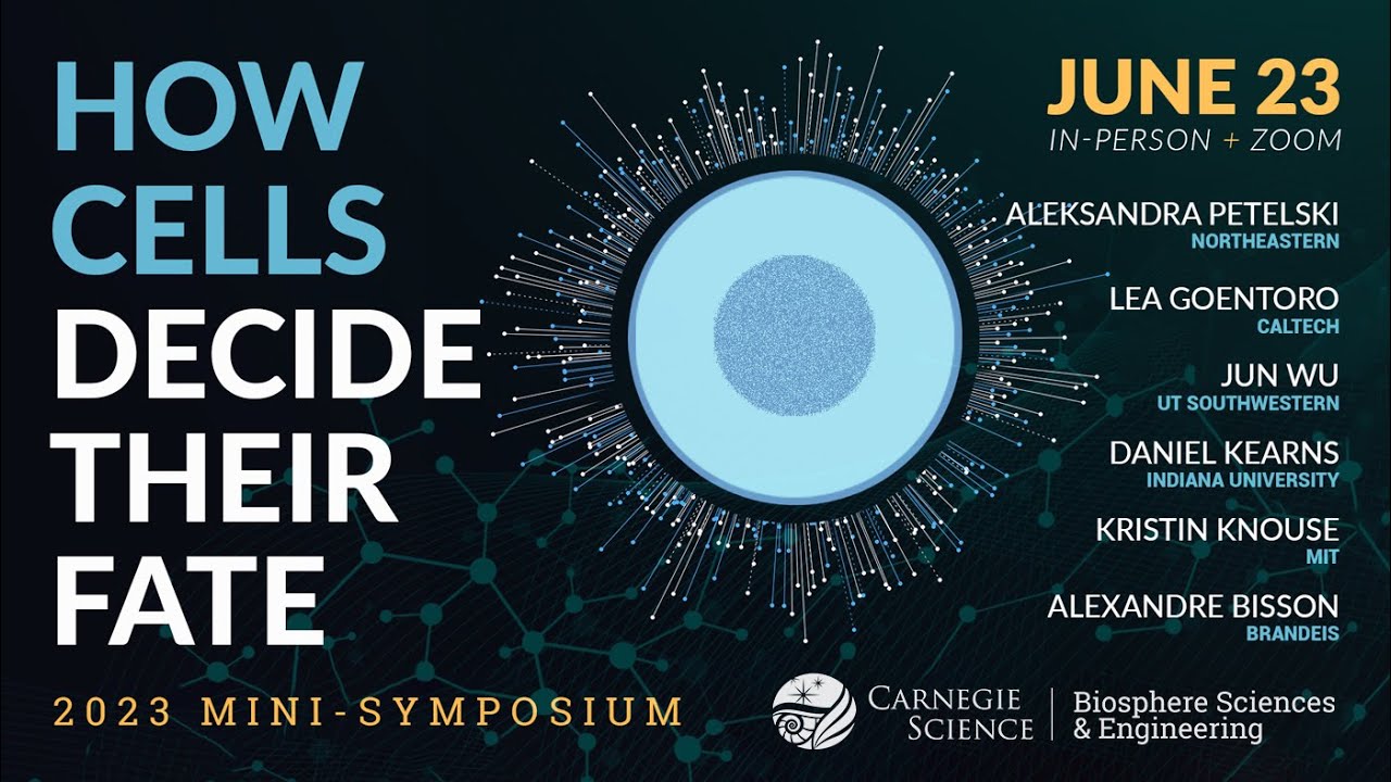 Dr. Jun Wu: Modeling Early Human Development with Stem Cell Embryo Models