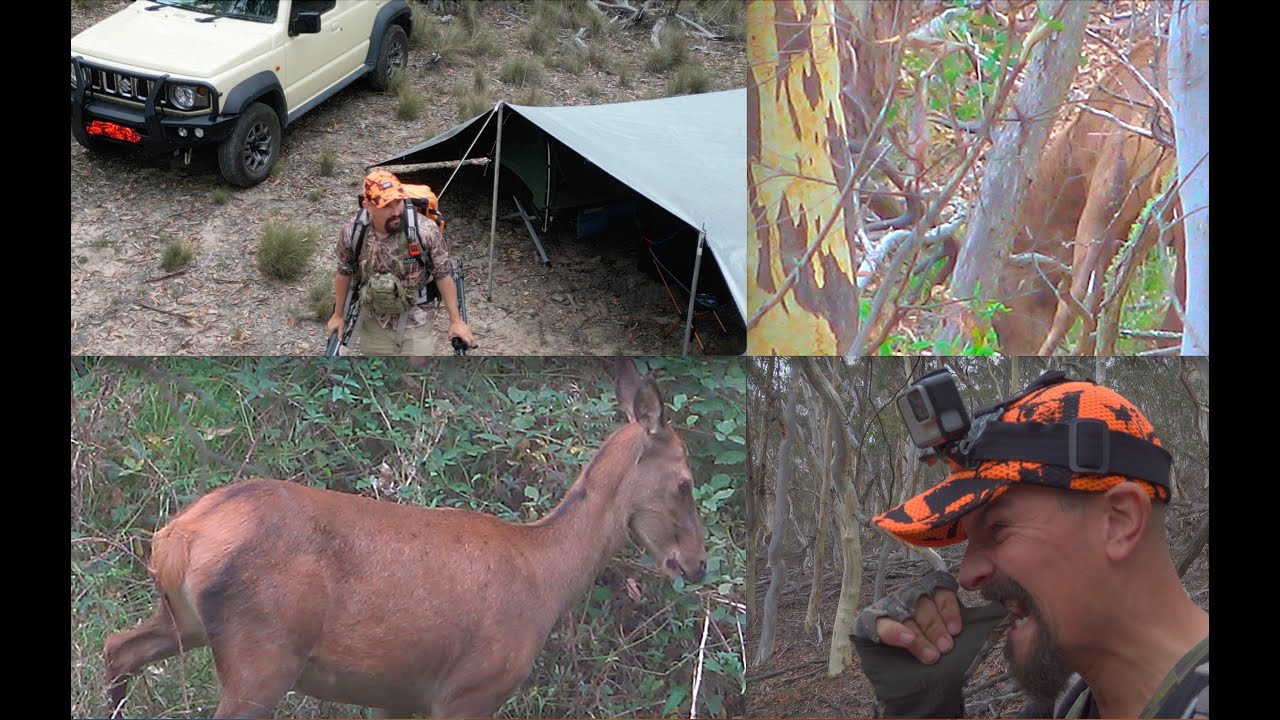 Stagnation - 2025 Red Deer Roar Starts