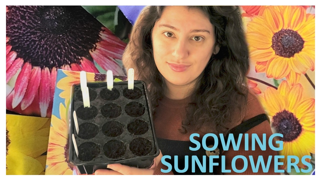 MAKING A WILDFLOWER MIX & SOWING SUNFLOWERS - MARCH VLOG