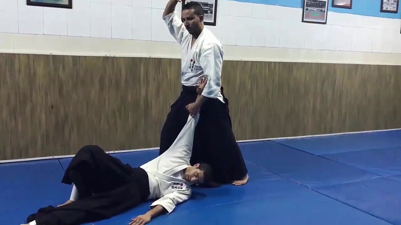 programme 1ére Dan ((( SHODAN ))) Aiki jujutsu