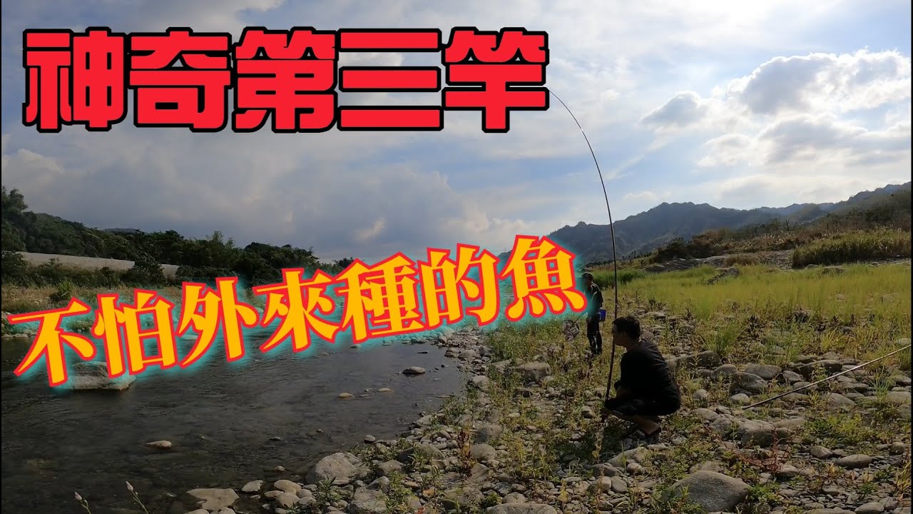 朋友釣到大魚爽歪歪，神奇的第三竿