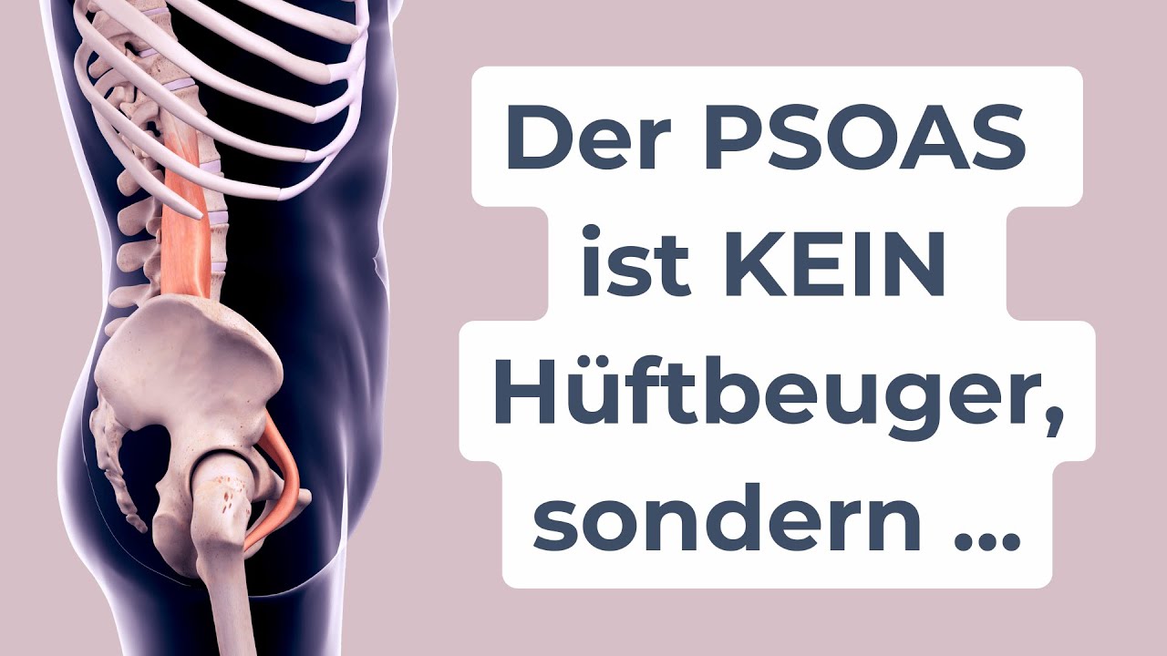 PSOAS neu gedacht: Warum er kein Hüftbeuger ist - und wie er Dich endlich aufrichten kann 🦋💕💫