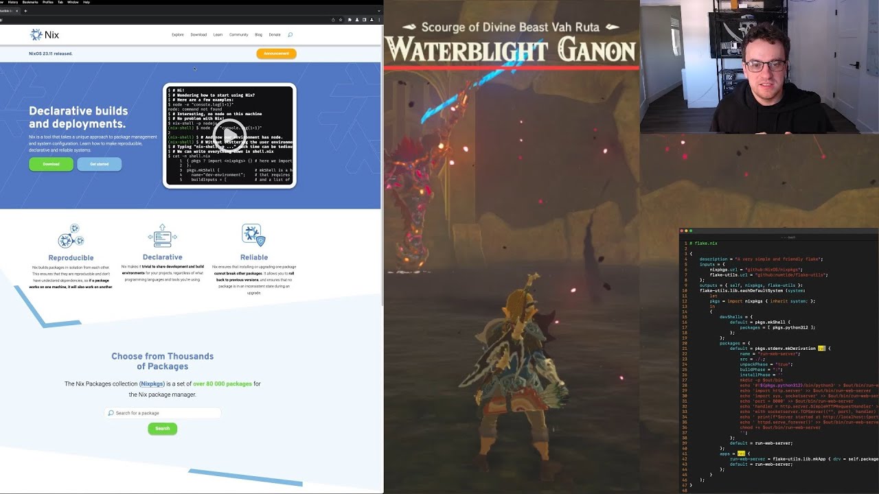 George Hotz | Gaming | Programming | breath of the wild and Nix exploration | Flakes | nixos.org