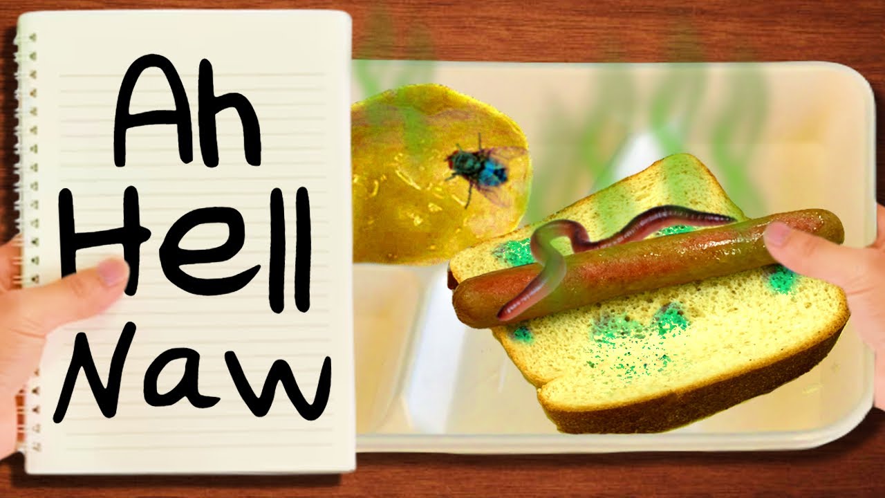 how to SURVIVE school lunch