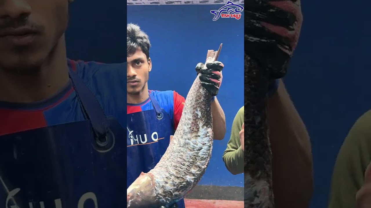 আজকের এই পার্সেলটি যাচ্ছে ঢাকার বসুন্ধরায়।#FishValley #ExpatLove #FreshFishBD
