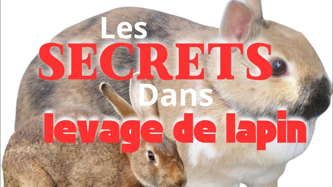 14 février 2024