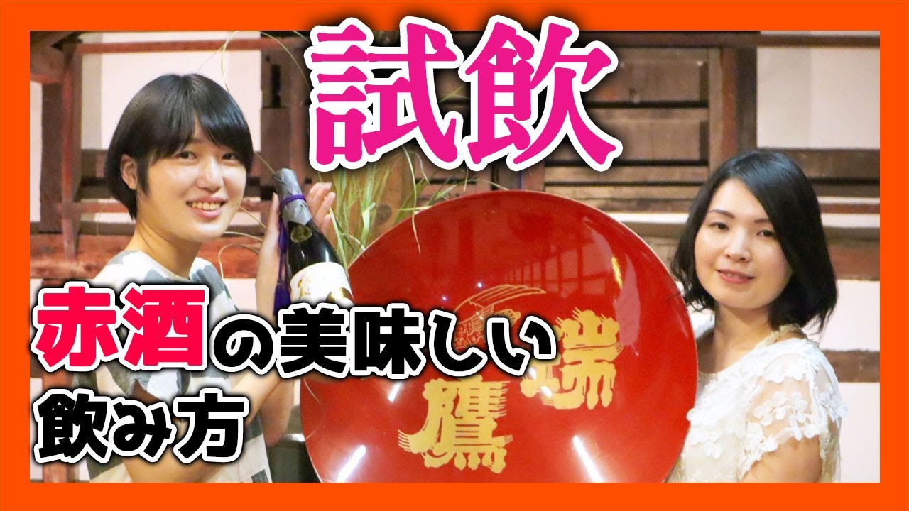 【熊本女子旅】 瑞鷹（ずいよう）でお酒の試飲！赤酒の美味しい飲み方とは！？入賞した大吟醸の雫取りは絶品【熊本観光】