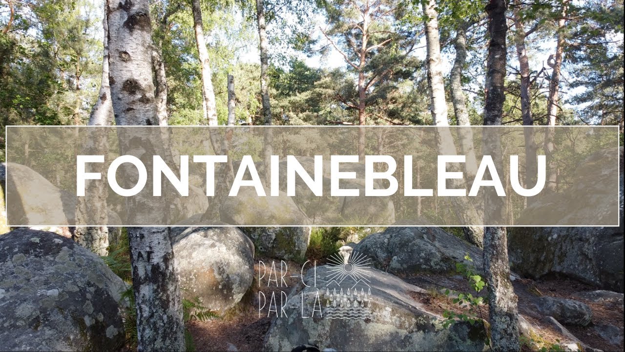 On bivouaque à Fontainebleau #Randonnée #Fontainebleau