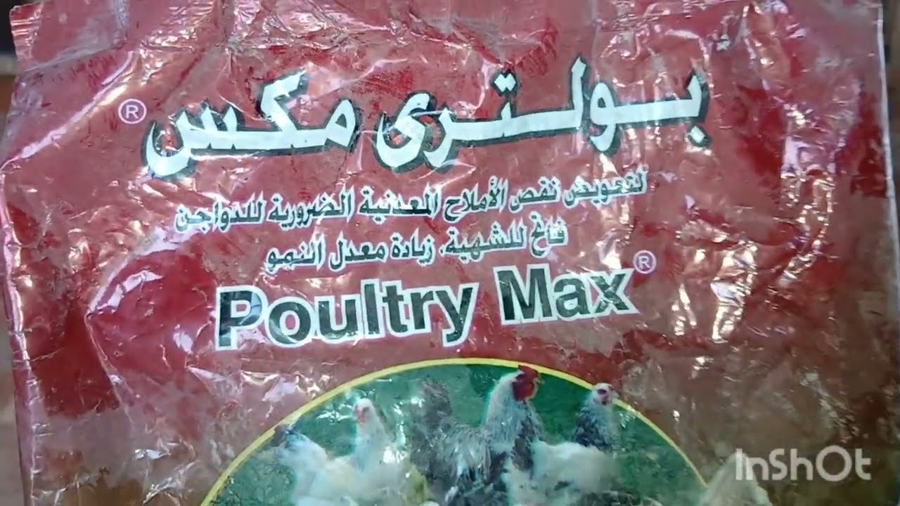 بيض الحمام فاضى 🕊 وقشرته ضعيفه 🕊او البيض فاضى 🕊واحده فيها كسر والتانيه فاضيه 🕊 الحمام مش بيض 🕊