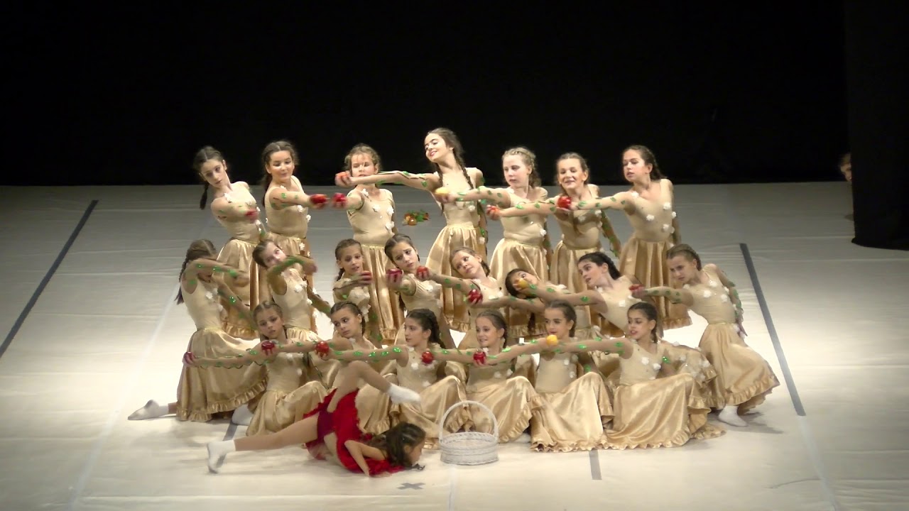Adagio AS Čačak - Drvo