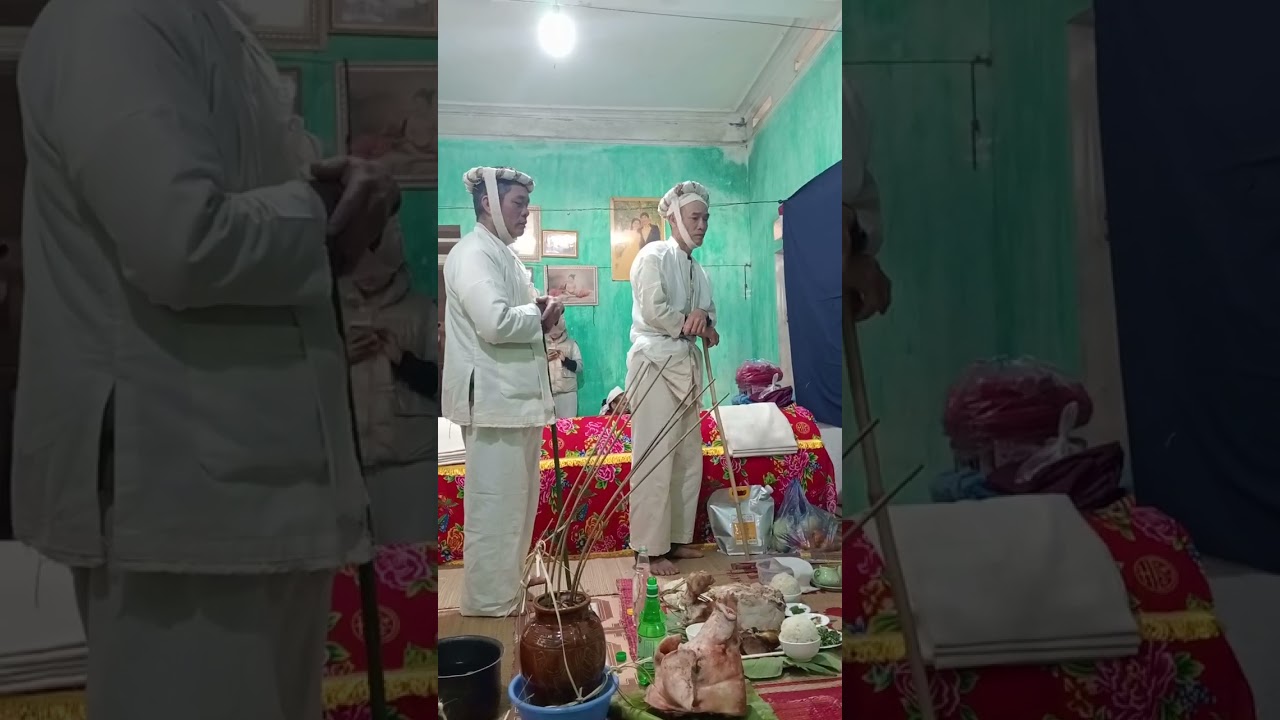 Bài mo mất nhiều nước mắt 