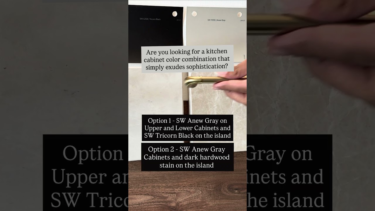 Kitchen Cabinet Moodboard with Sherwin Williams Anew Gray and Tricorn Black