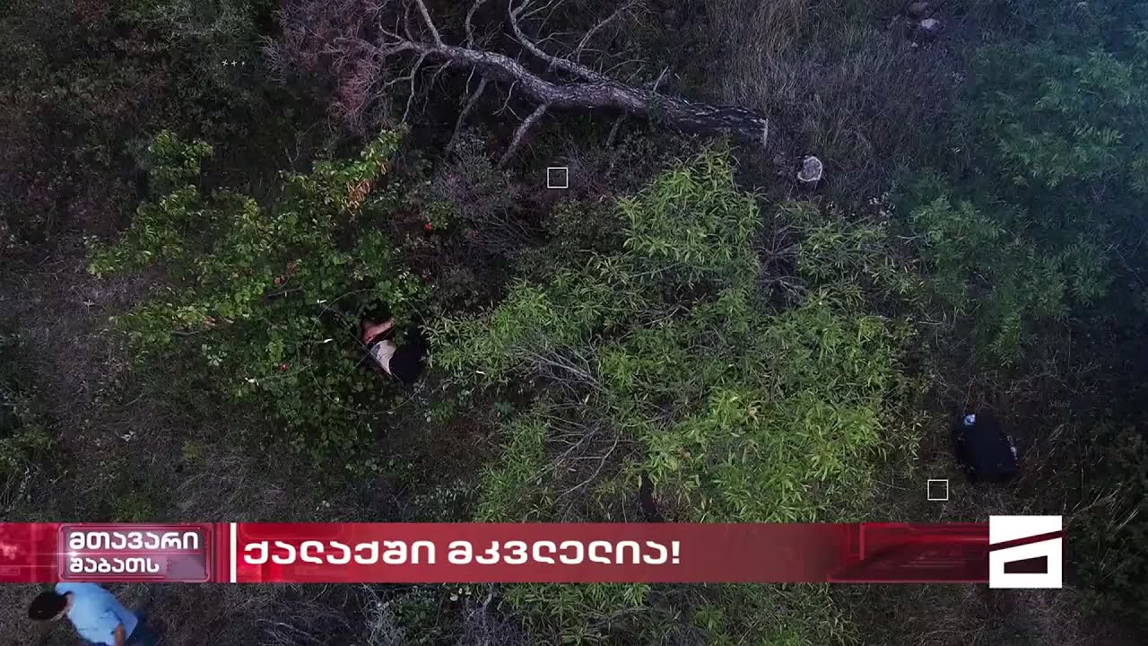 ფრთხილად - ქალაქში მკვლელია! - 1 თვიანი უშედეგო გამოძიება