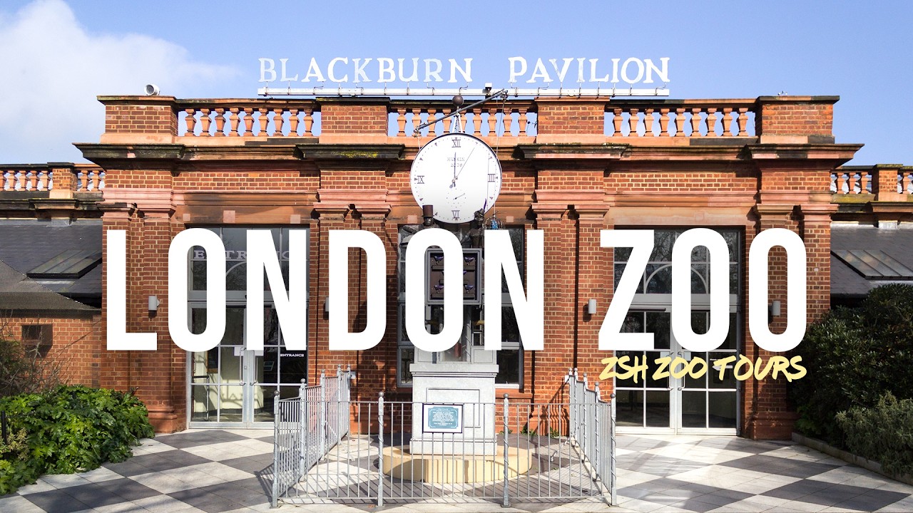 London Zoo Tour | The World's Most Historic Zoo?